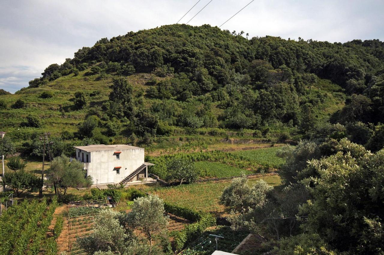 Apartments By The Sea Supetarska Draga - Donja, Rab - 2022 Exterior foto
